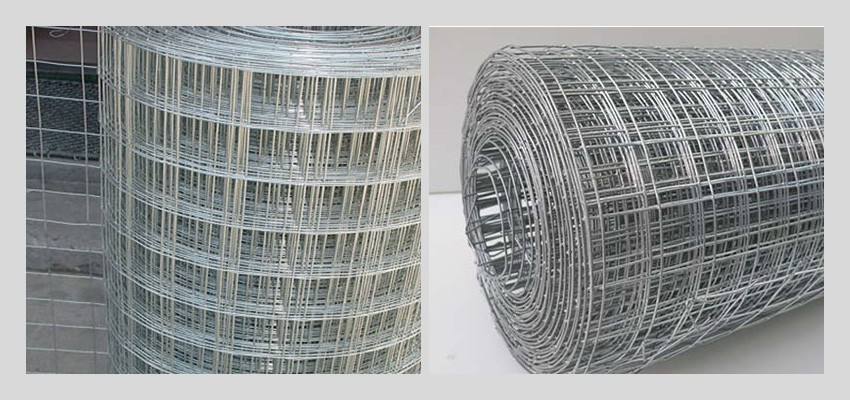 GI Welded Wire Mesh Roll types