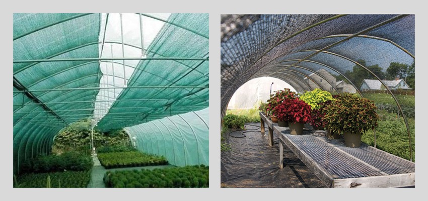 shade netting application
