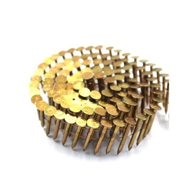 large-head-galvanized-roofing-coil-nails39333434842