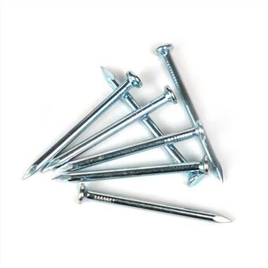 Paku Simen Keluli Khas