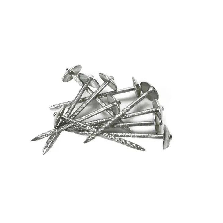 Stainless Roofing Screw Nails